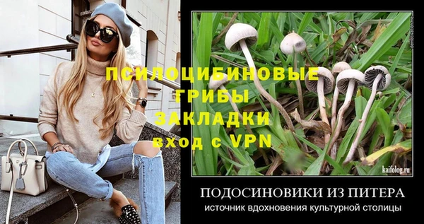 наркотики Белокуриха