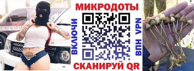 kraken зеркало  Сибай  Галлюциногенные грибы Cubensis 